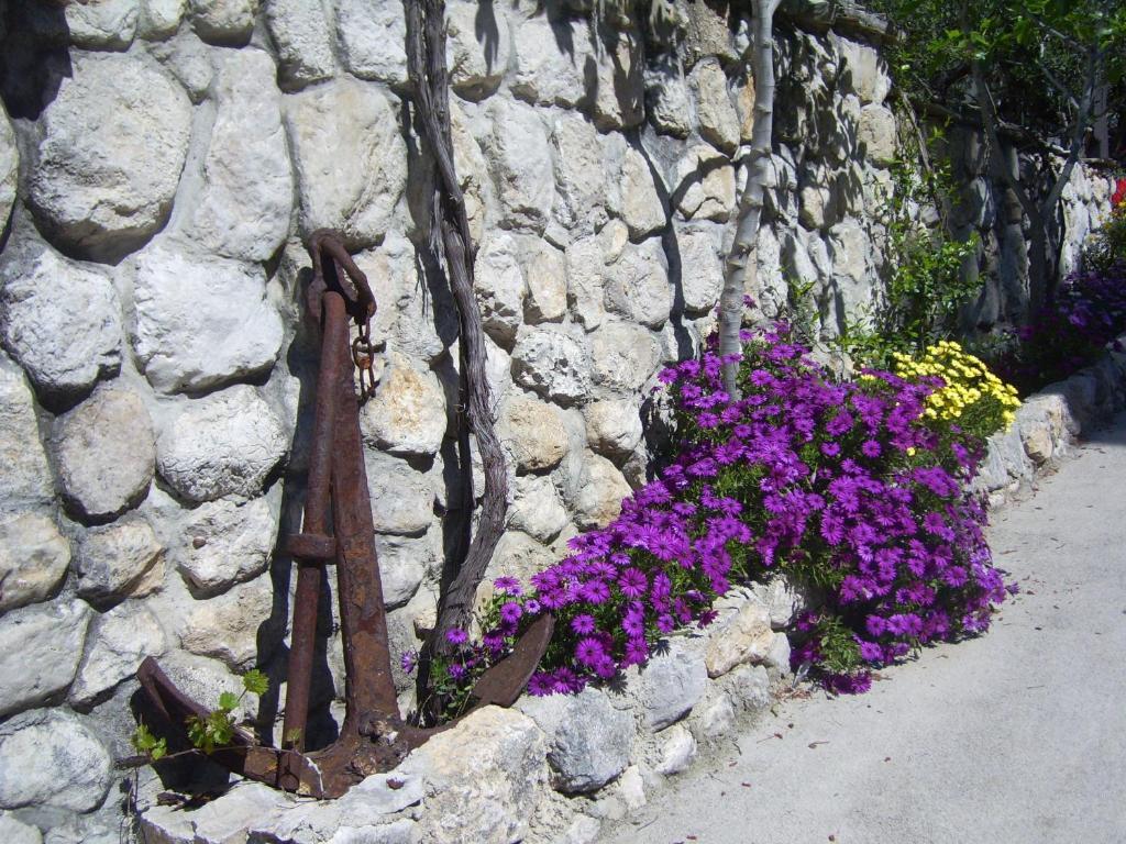 Apartments Villa More Makarska Eksteriør billede
